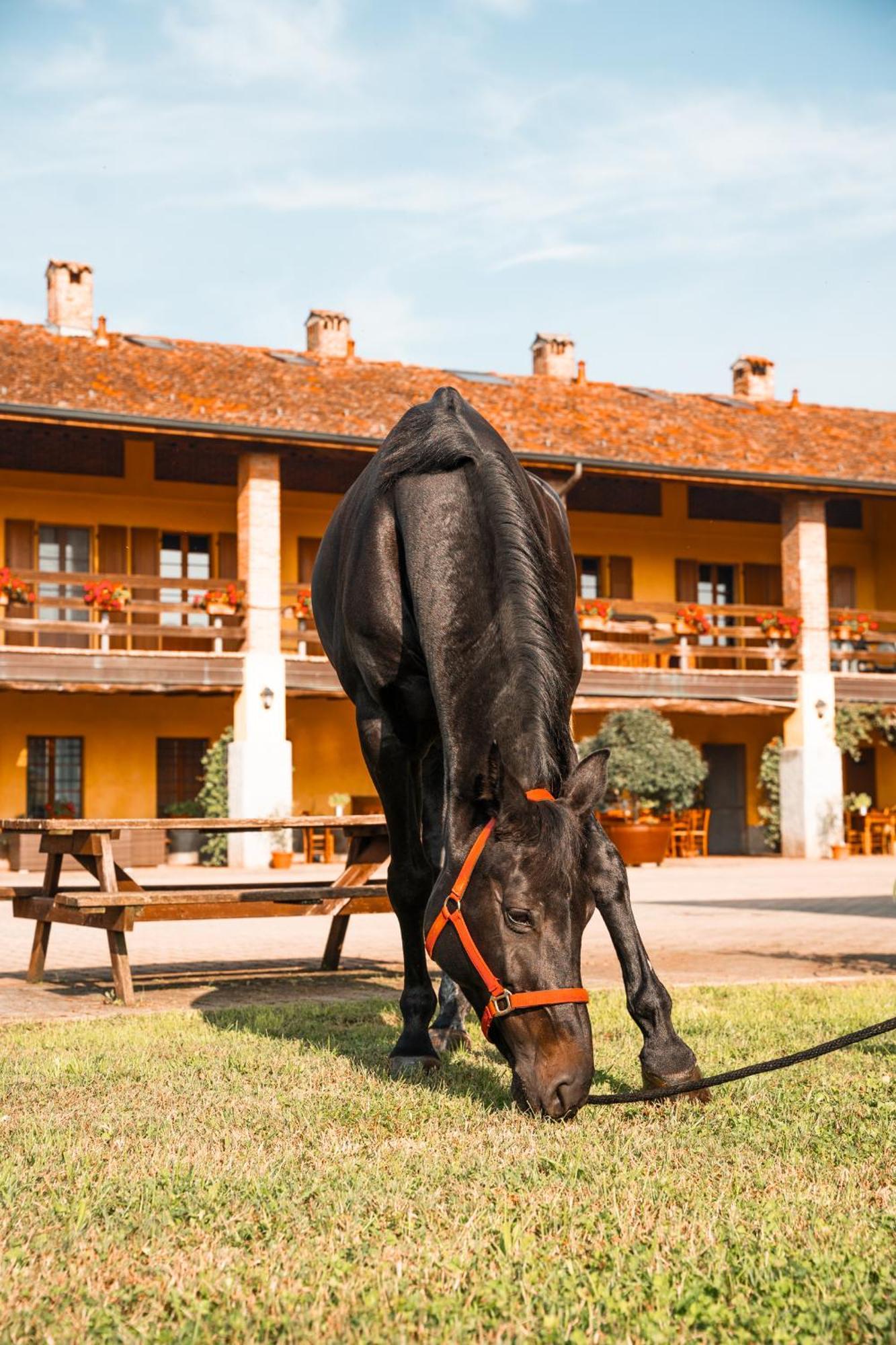 Agriturismo Bassanella Treviglio Exterior photo